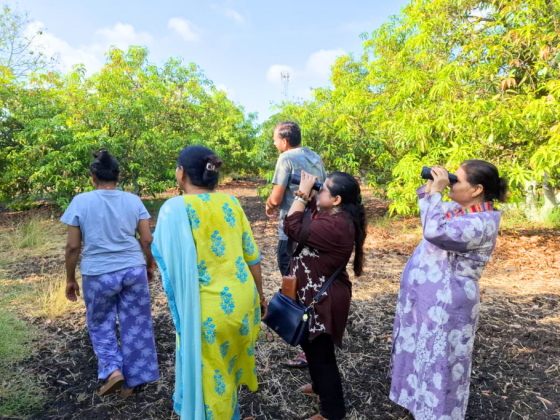 Book Gir Earth Walks