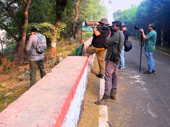 Earth Walks Okhla