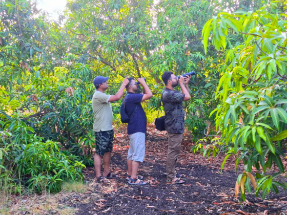 Gir Birding Walks