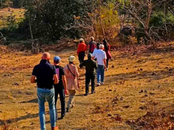 Gir Forest Walk