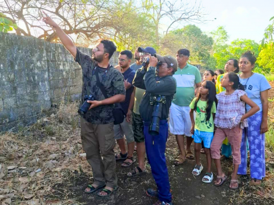 Gir Nature Walk Booking