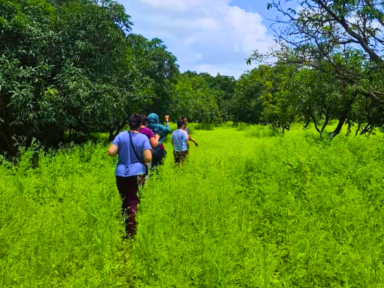 Gir Wildlife Walks