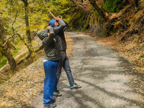 Pangot Bird Walks