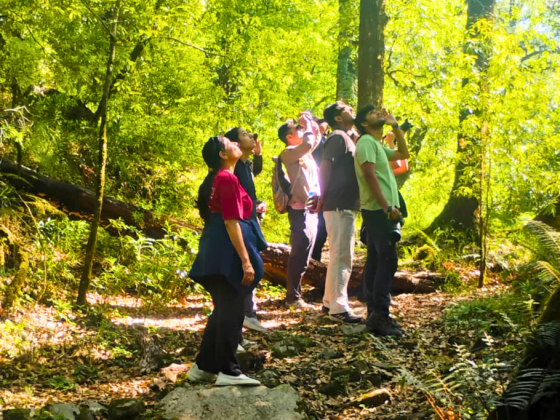 Pangot Birding Walk Booking