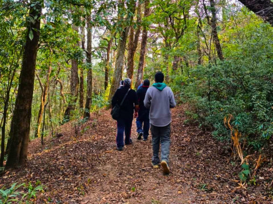 Pangot Wildlife Walks