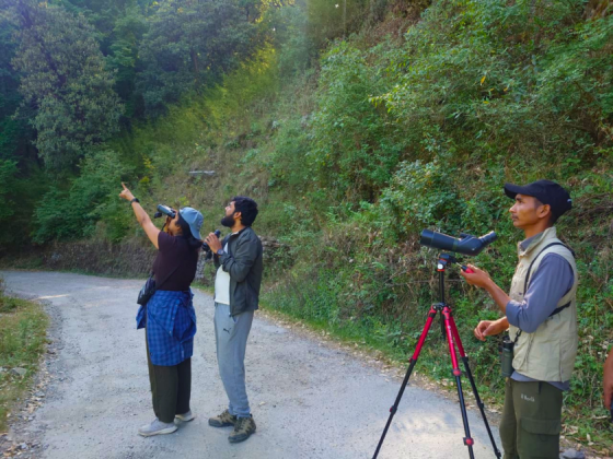 bird-photography-pangot-earth-walks