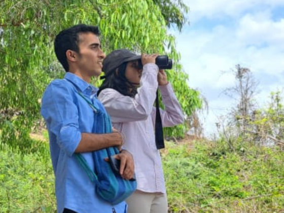 birdwatching-of-gir