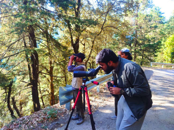eco-birding-earth-walks-uttarakhand