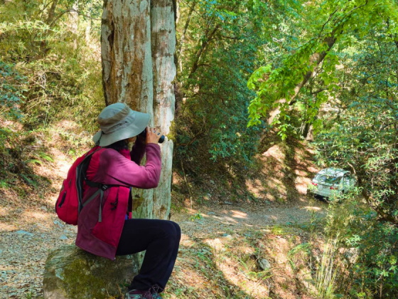 himalayan-birding-earth-walks