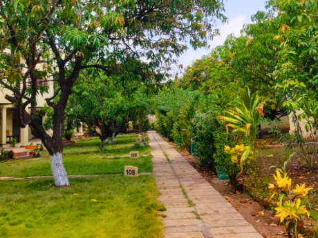 Book Gir Earth Walks