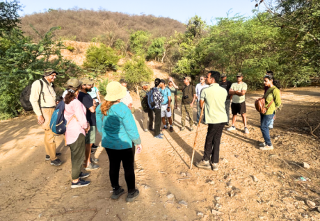 Delhi Earth Walks