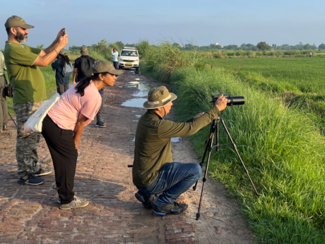Dhanauri Wetland Birding