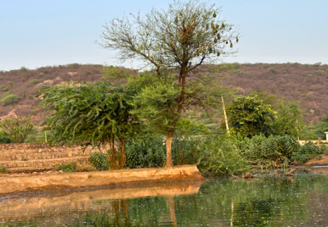 Earth Walks In Mangar Bani