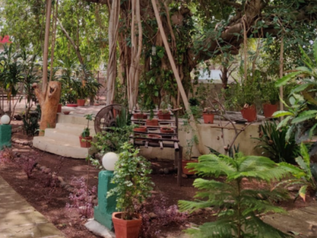 Earth Walks in Gir Birding Lodge