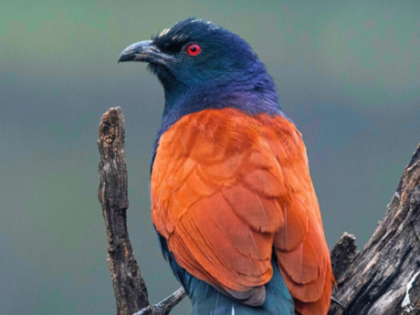Eco Tours Ahmedabad
