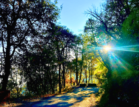 Eco Walks Pangot