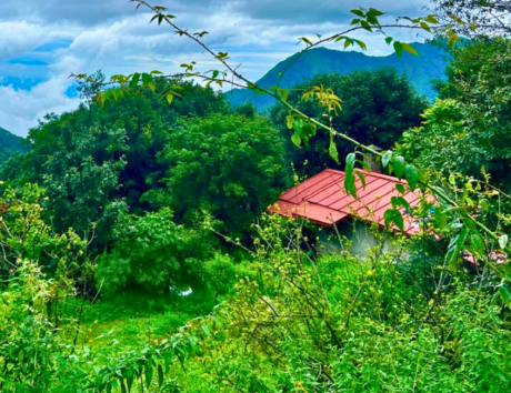 Jungle Lore Birding Lodge