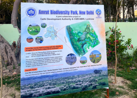Amrut Biodiversity Park