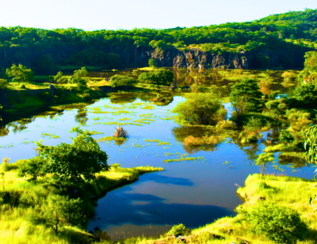 Earth Walks In Pune