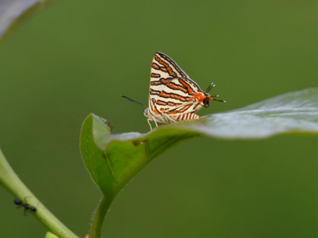 Weekend Nature Walk Delhi