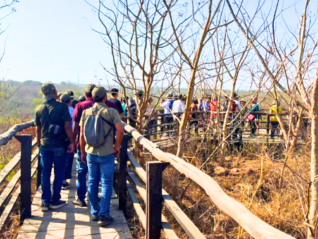 Earth Walks Delhi