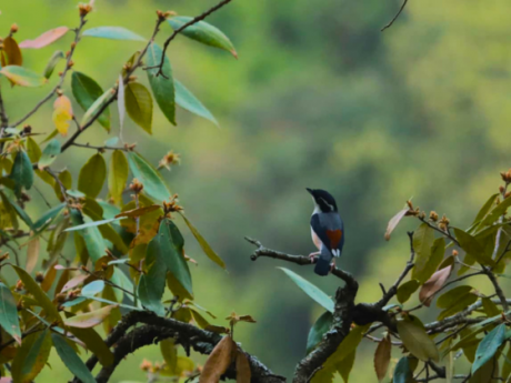 Earth Walks In Uttrakhand