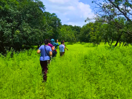 Gir Wildlife Walks