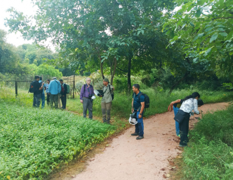 Earth walks In Aravali Biodiversity Park