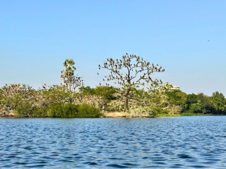 Kolkata Nature Walk
